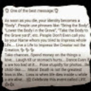 Meet your Posher, Bev